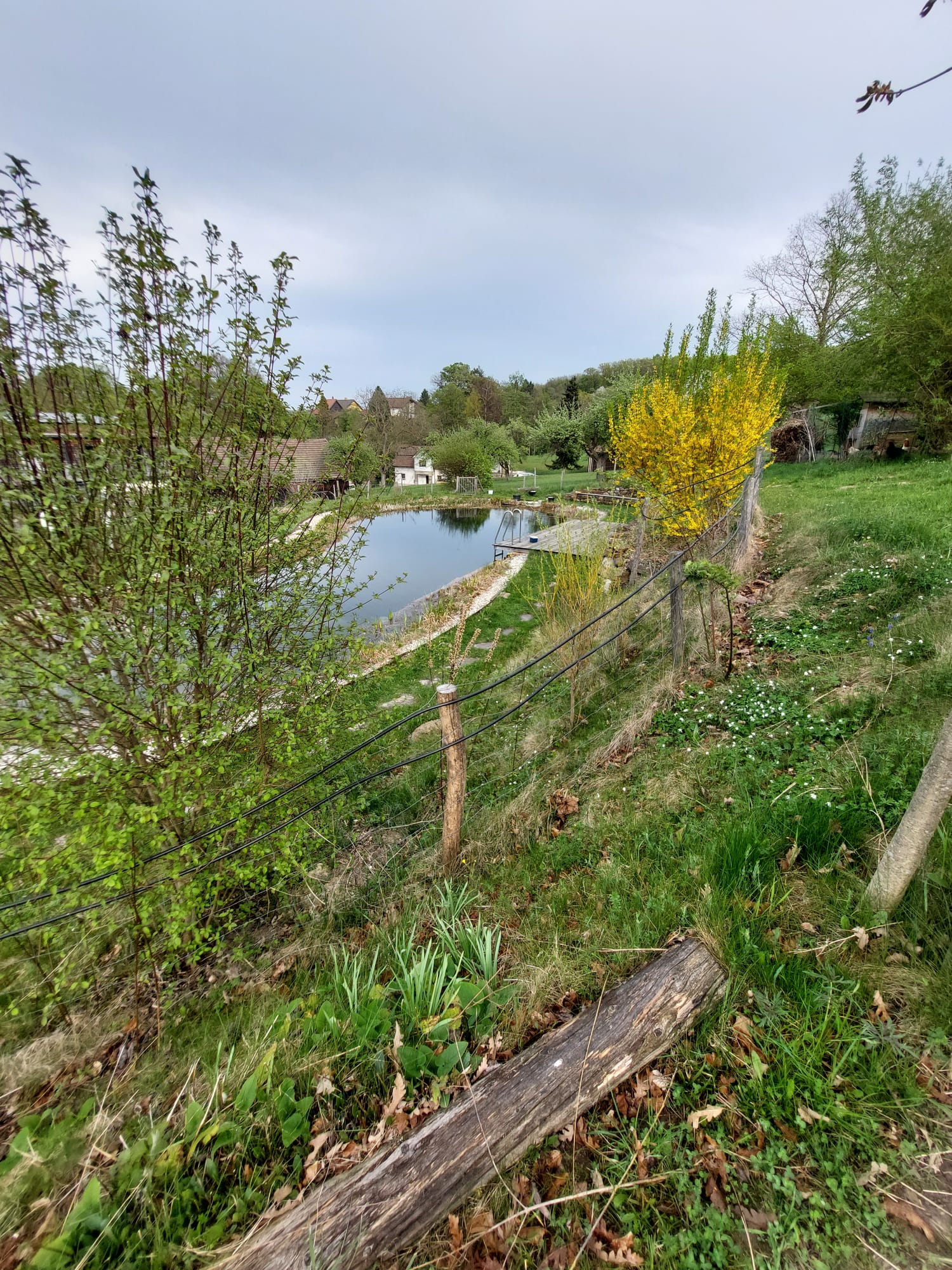 Garten 1