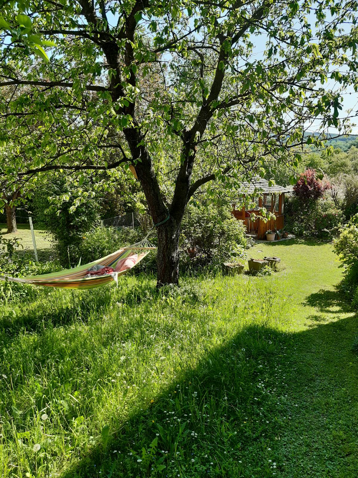 Garten 5