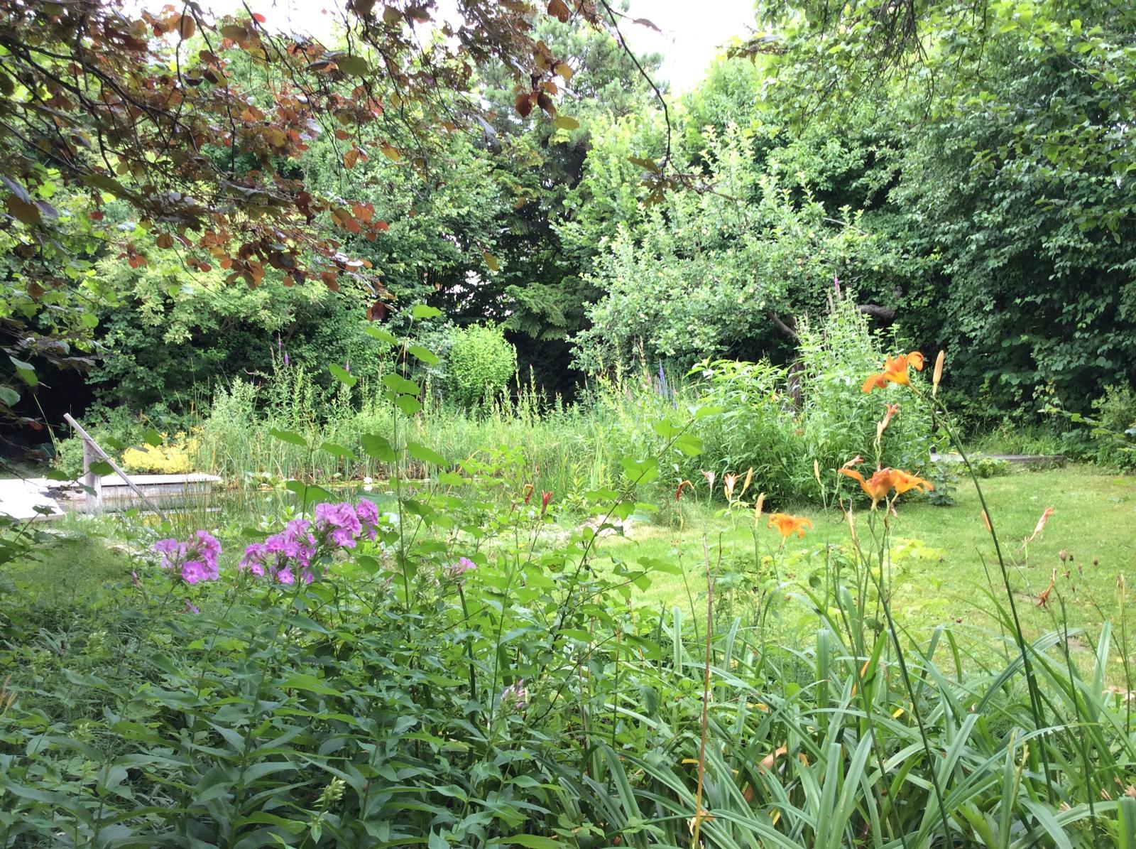 Garten 8