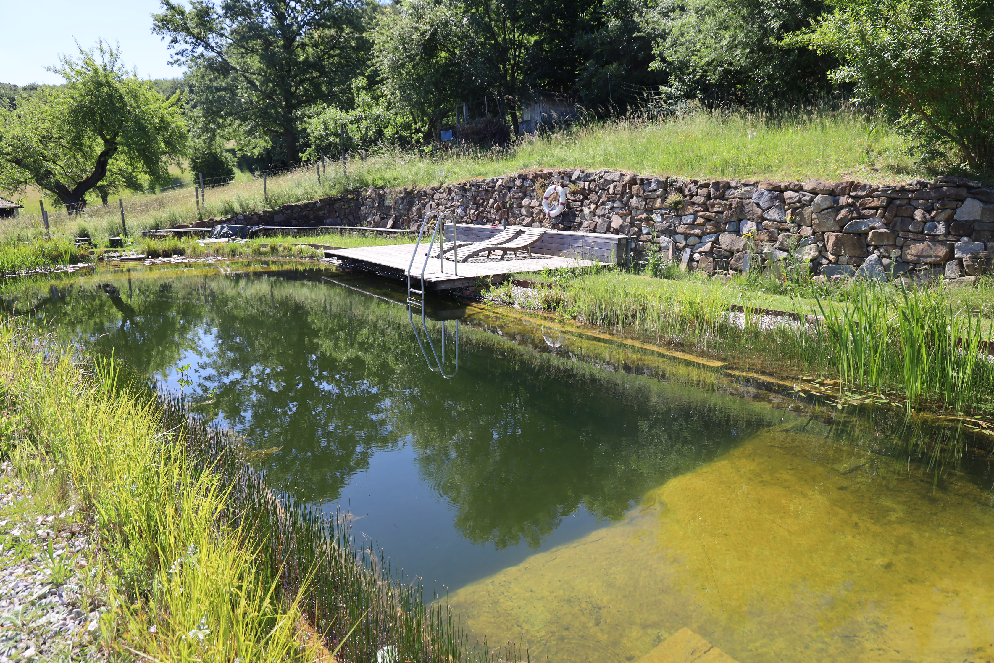 Gartenlandschaft – TOG Juni 2026