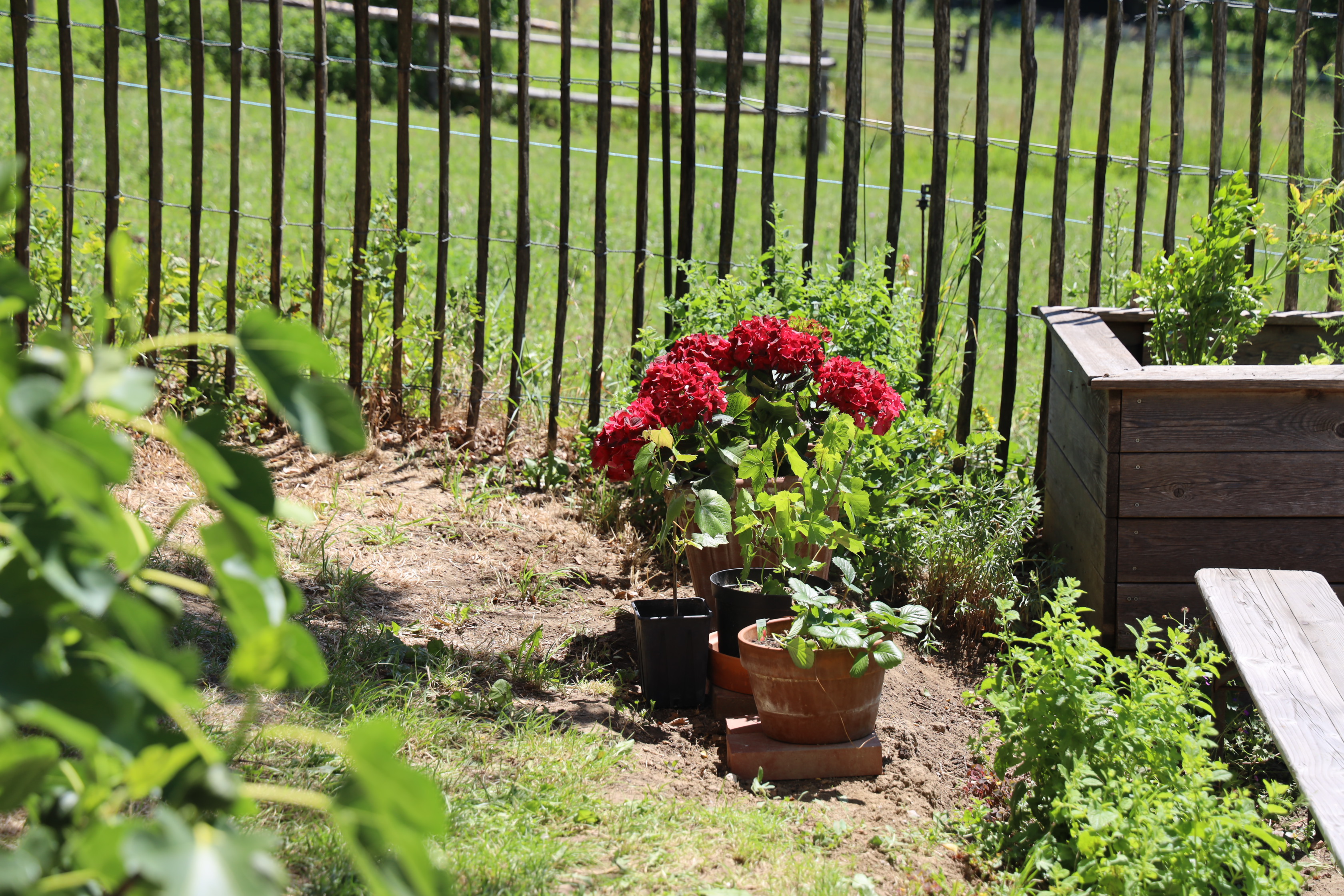 Gartenlandschaft – TOG Juni 2026