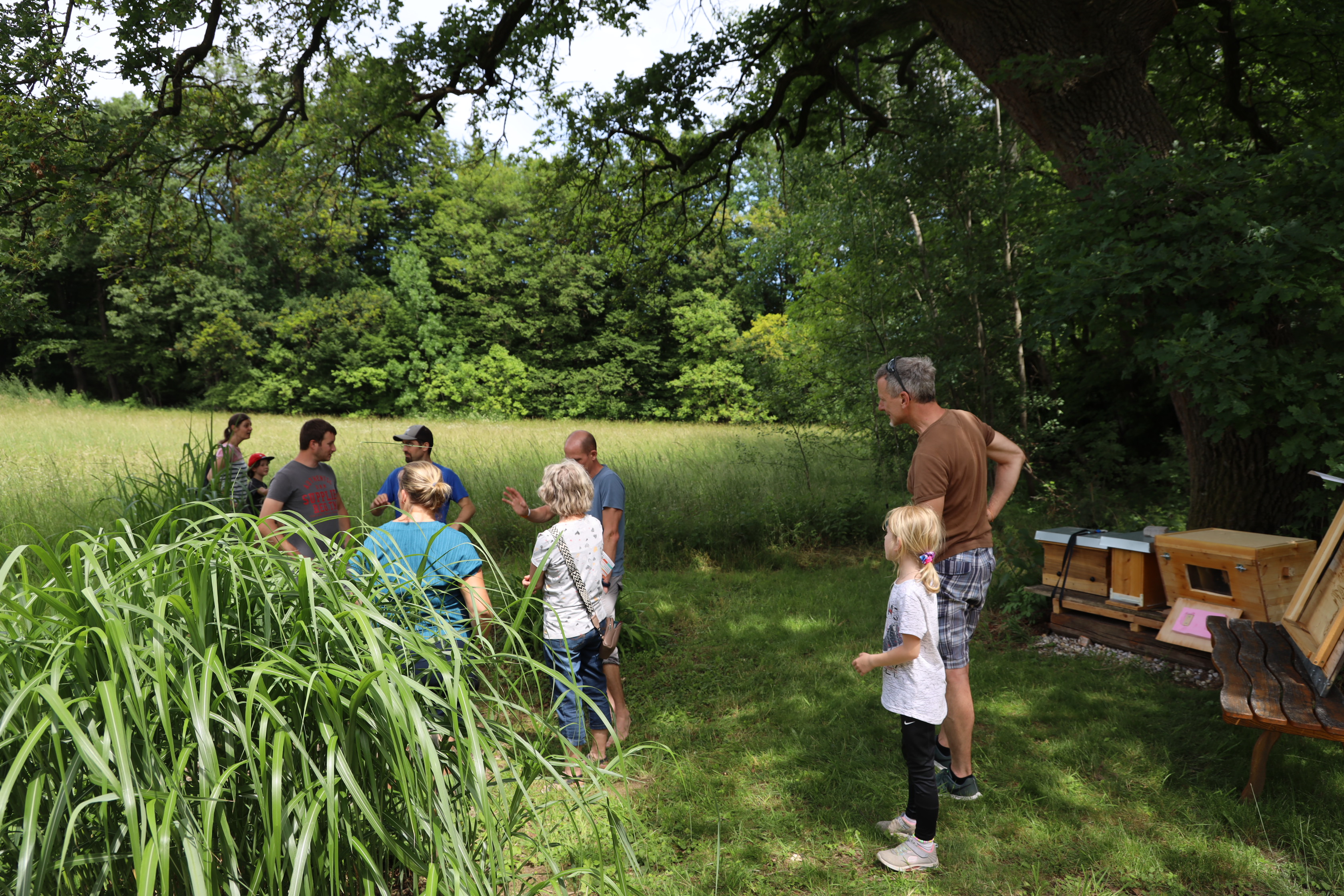 Gartenlandschaft – TOG Juni 2026