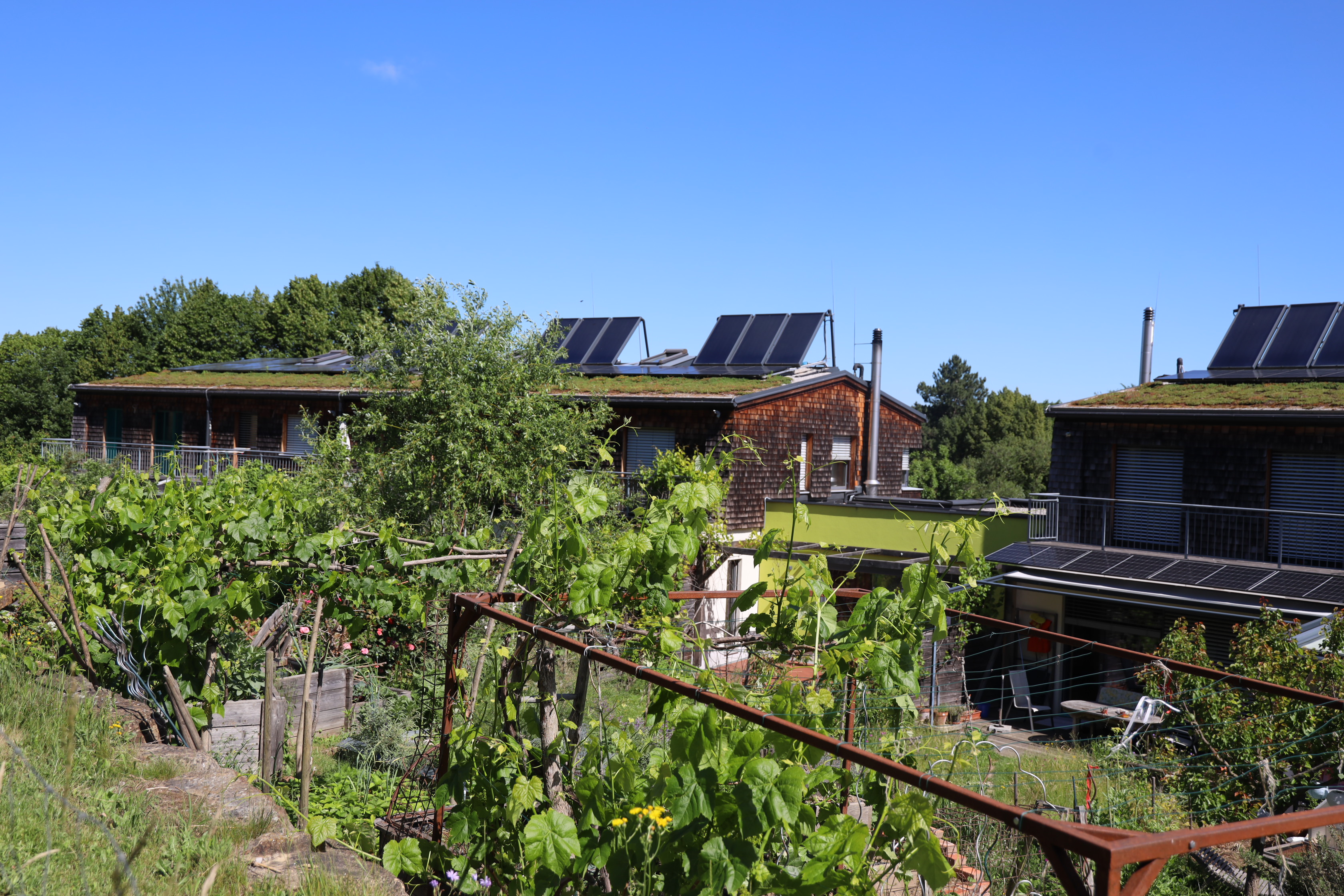 Gartenlandschaft – TOG Juni 2026