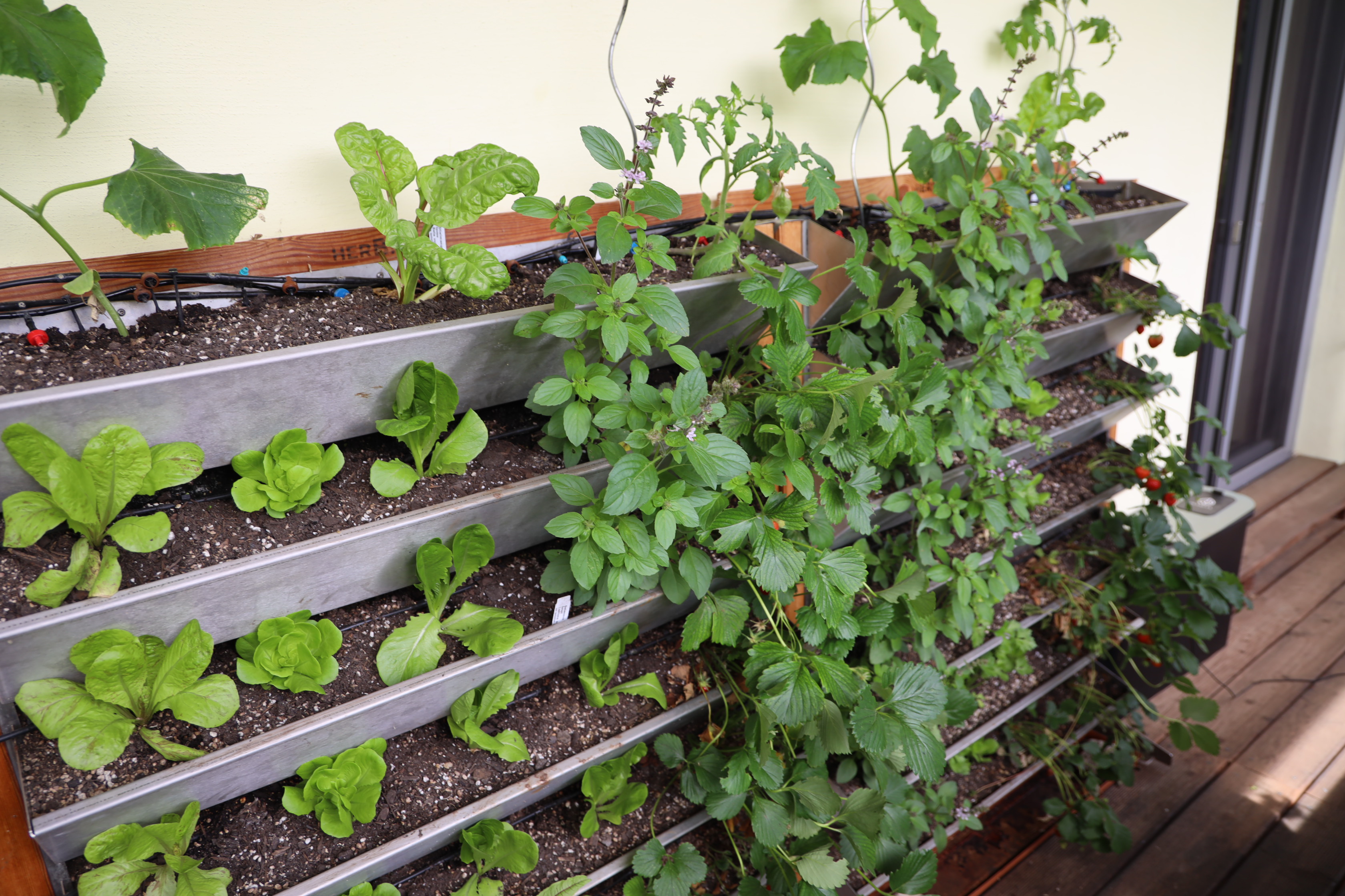 Gartenlandschaft – TOG Juni 2026