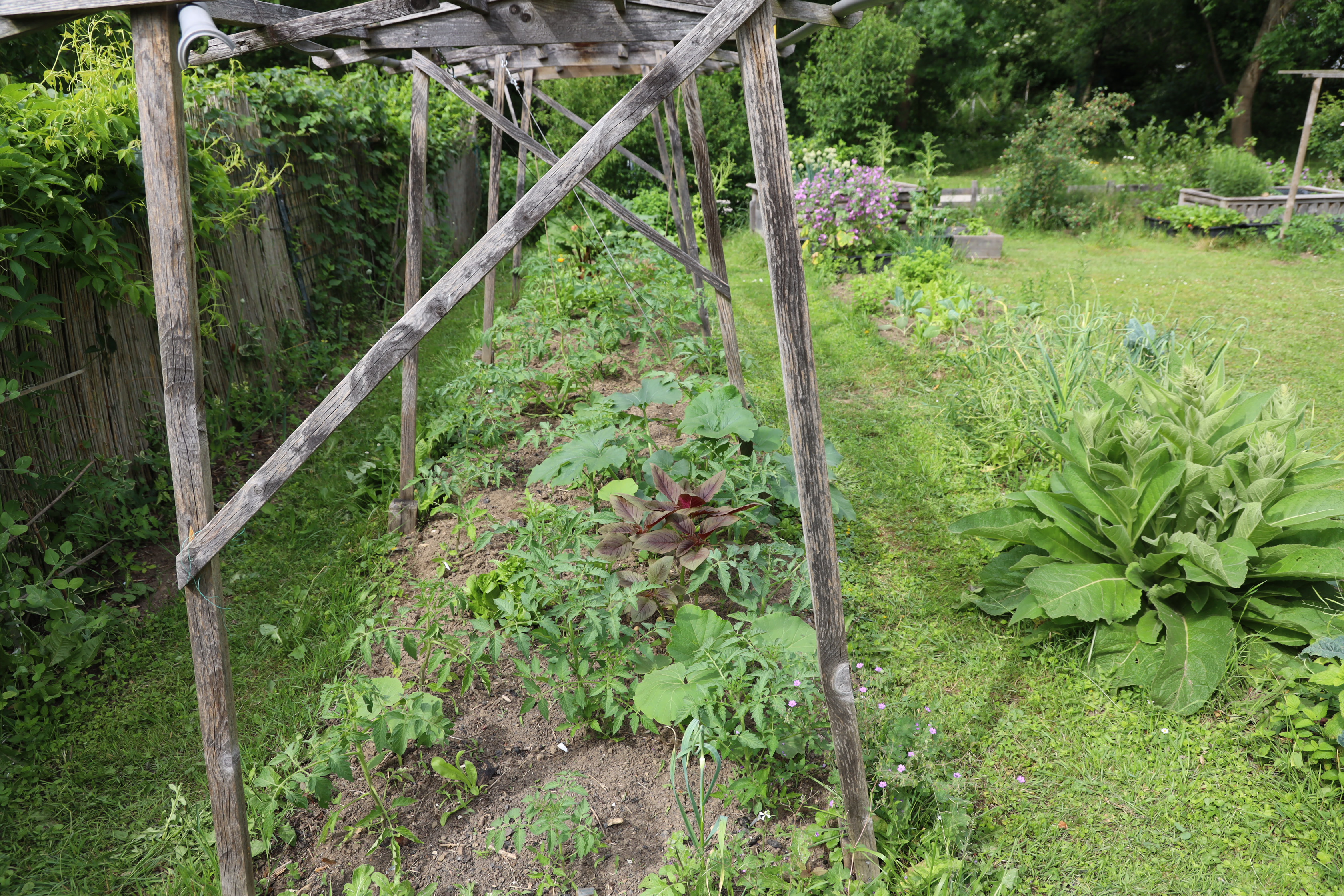 Gartenlandschaft – TOG Juni 2026