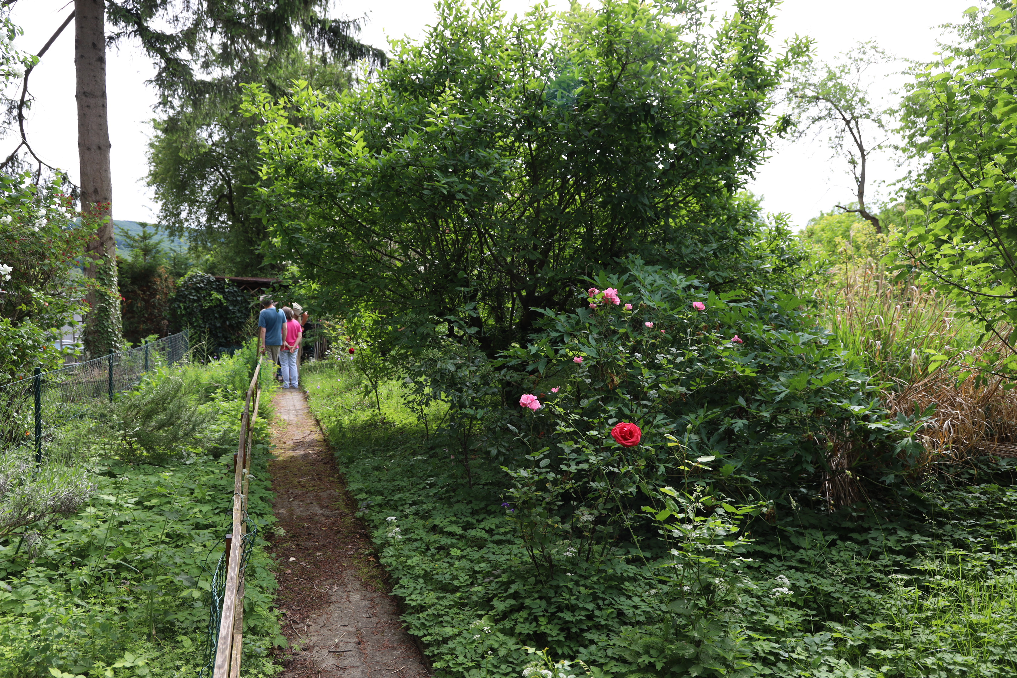 Gartenlandschaft – TOG Juni 2026
