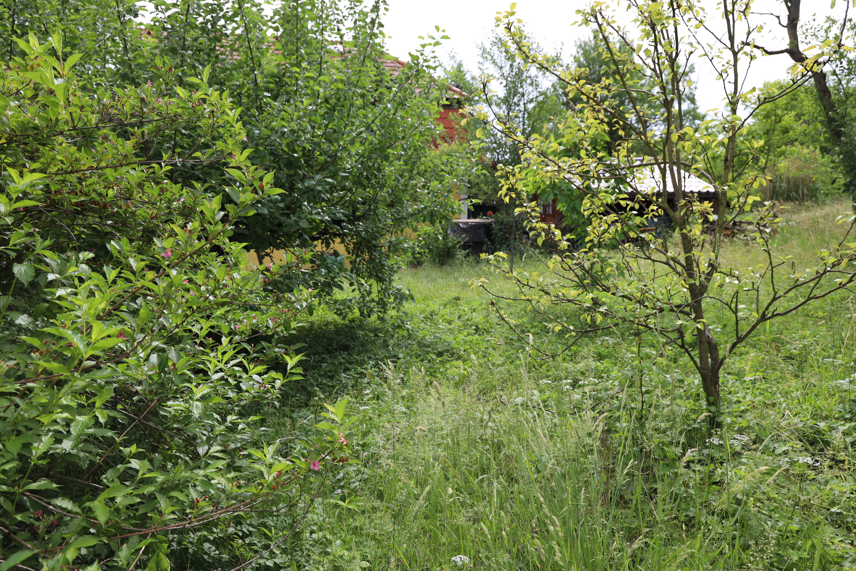 Gartenlandschaft – TOG Juni 2026