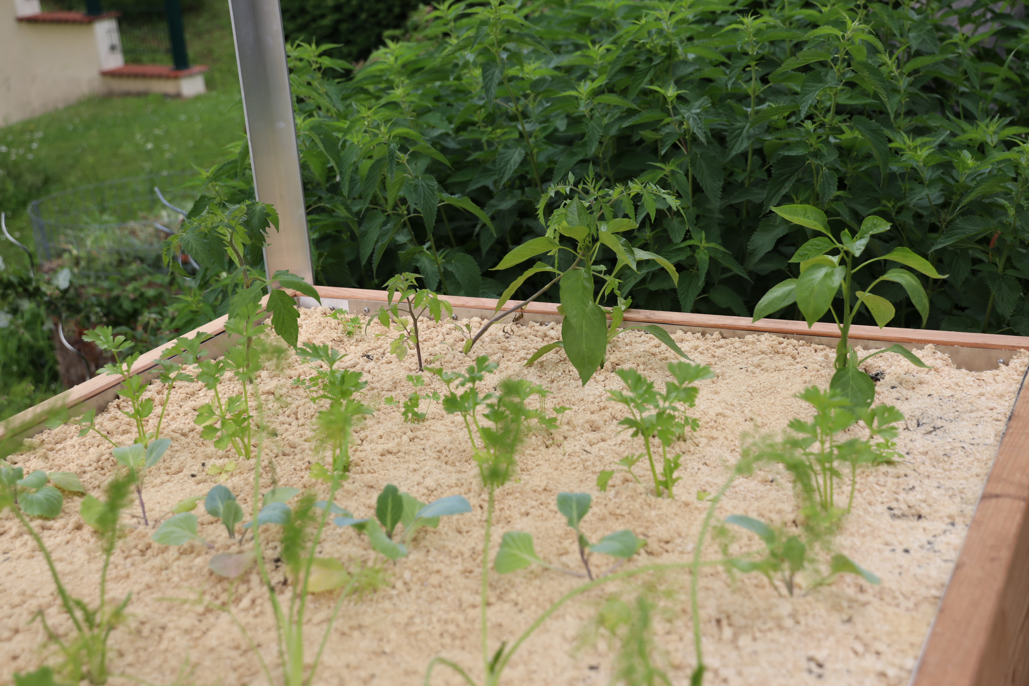 Gartenlandschaft – TOG Juni 2026