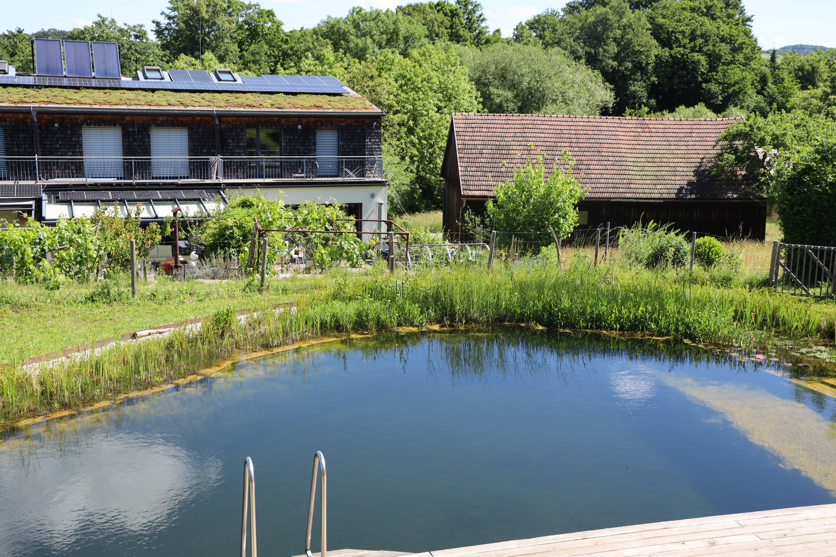 Gartenlandschaft – TOG Juni 2026
